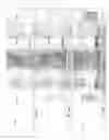 Fig. 02 - Effervescent Acidified Rehydration Preparations