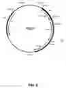 Fig. 10 - Complementing cell lines