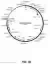 Fig. 37 - Complementing cell lines