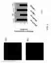 Fig. 02 - IAP-binding cargo molecules and peptidomimetics for use in diagnostic and therapeutic methods