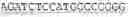 Fig. 07 - CATALYTIC DOMAIN OF ADAM33 AND METHODS OF USE THEREOF