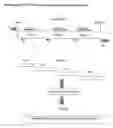 Fig. 01 - Method for treating multiple myeloma