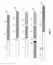 Fig. 07 - Immunoglobulin fusion proteins and methods of making