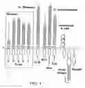 Fig. 02 - Human DNAX toll-like receptor 4 proteins, related reagents and methods