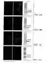 Fig. 06 - Human DNAX toll-like receptor 4 proteins, related reagents and methods