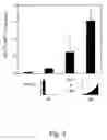 Fig. 03 - Method for enhancing T cell response