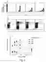 Fig. 04 - Method for enhancing T cell response