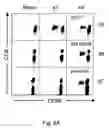 Fig. 07 - Method for enhancing T cell response