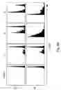 Fig. 08 - Method for enhancing T cell response
