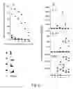 Fig. 10 - Method for enhancing T cell response