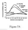 Fig. 12 - GRP94-BASED COMPOSITIONS AND METHODS OF USE THEREOF
