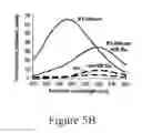 Fig. 13 - GRP94-BASED COMPOSITIONS AND METHODS OF USE THEREOF