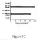 Fig. 14 - GRP94-BASED COMPOSITIONS AND METHODS OF USE THEREOF