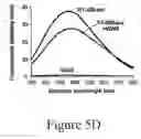 Fig. 15 - GRP94-BASED COMPOSITIONS AND METHODS OF USE THEREOF