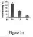 Fig. 16 - GRP94-BASED COMPOSITIONS AND METHODS OF USE THEREOF