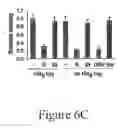 Fig. 18 - GRP94-BASED COMPOSITIONS AND METHODS OF USE THEREOF