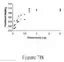 Fig. 20 - GRP94-BASED COMPOSITIONS AND METHODS OF USE THEREOF