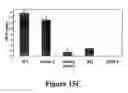 Fig. 33 - GRP94-BASED COMPOSITIONS AND METHODS OF USE THEREOF