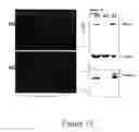 Fig. 37 - GRP94-BASED COMPOSITIONS AND METHODS OF USE THEREOF
