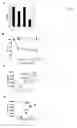 Fig. 43 - GRP94-BASED COMPOSITIONS AND METHODS OF USE THEREOF