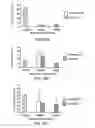 Fig. 34 - Stimulation of thymus for vaccination development