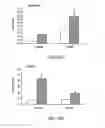 Fig. 37 - Stimulation of thymus for vaccination development