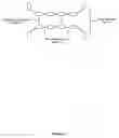 Fig. 04 - Dynamers for therapeutic agent delivery applications