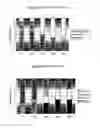 Fig. 05 - S-adenosyl-L-methionine for regulating behavioral disorders in pets