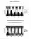 Fig. 06 - S-adenosyl-L-methionine for regulating behavioral disorders in pets
