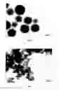 Fig. 07 - Particles comprising a releasable dopant therein