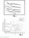 Fig. 02 - Orally-administrable compositions comprising stable amorphous calcium carbonate