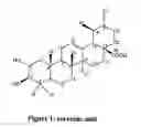 Fig. 02 - Pharmaceutically active extracts of vitex leucoxylon, a process of extracting the same and a method of treating diabetes and inflammatory diseases therewith