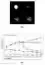 Fig. 06 - Novel Anticancer Agent, Methods for Obtaining the Same and Pharmaceutical Compositions Thereof