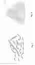 Fig. 02 - Procedure And Machine For Reconstituting Powders Of Vegetal Origin