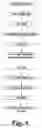 Fig. 02 - PROCESSS FOR SACCRIFICATION AND LIQUIFICATION OF POTATO AND TAPIOCA