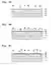 Fig. 07 - Method of manufacturing piezoelectric actuator and method of manufacturing liquid transporting apparatus