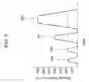 Fig. 08 - Method of manufacturing dielectric layer and method of manufacturing liquid jet head