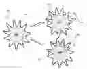 Fig. 01 - Nanoparticles confined in polyelectrolytes
