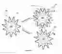 Fig. 04 - Nanoparticles confined in polyelectrolytes