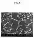 Fig. 02 - Nd-Fe-B type anisotropic exchange spring magnet and method of producing the same
