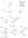 Fig. 01 - Dendritic molecule containing metal phthalocyanine, method of preparing the same and organic light emitting diode comprising the dendritic molecule