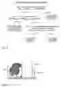 Fig. 04 - Probes and methods for detection of and antibiotic resistance