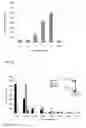 Fig. 05 - Probes and methods for detection of and antibiotic resistance