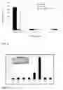 Fig. 06 - Probes and methods for detection of and antibiotic resistance