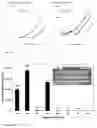Fig. 08 - Probes and methods for detection of and antibiotic resistance