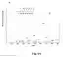 Fig. 06 - METHOD FOR DETECTION OF BIOMARKERS FOR EXPOSURE TO STACHYBOTRYS
