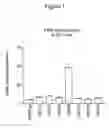 Fig. 02 - Non-endogenous, constitutively activated versions of human G protein coupled receptor: FSHR