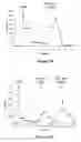 Fig. 08 - Process for screening glycoform-specific antibodies