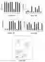 Fig. 17 - Process for screening glycoform-specific antibodies