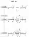 Fig. 09 - Manufacturing method of semiconductor device and manufacturing method of lead frame